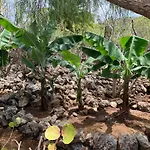 Prázdninový dům Pajar - Tabaiba By Tor *