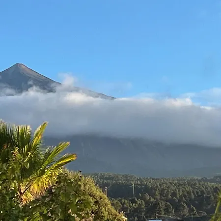 Pajar - Tabaiba By Tor *