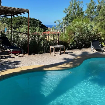 Pajar - Tabaiba By Tor