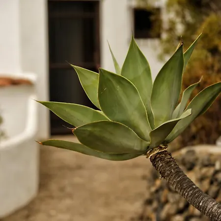 Pajar - Tabaiba By Tor Holiday home