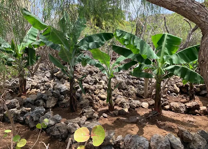 Feriehus Pajar - Tabaiba By Tor *