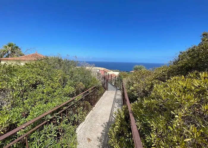 Pajar - Tabaiba By Tor *