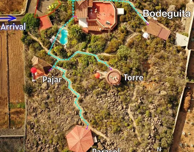 Pajar - Tabaiba By Tor