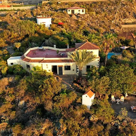 Pajar - Tabaiba By Tor 이코드레로스비노스