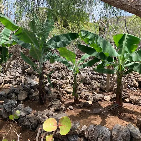 Hébergement de vacances Pajar - Tabaiba By Tor *