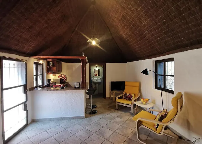 Pajar - Tabaiba By Tor * איקוד דה לוס וינוס