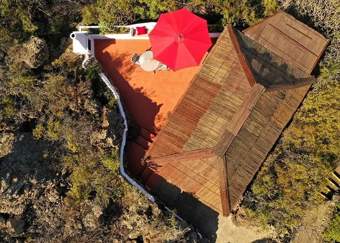 Pajar - Tabaiba By Tor איקוד דה לוס וינוס