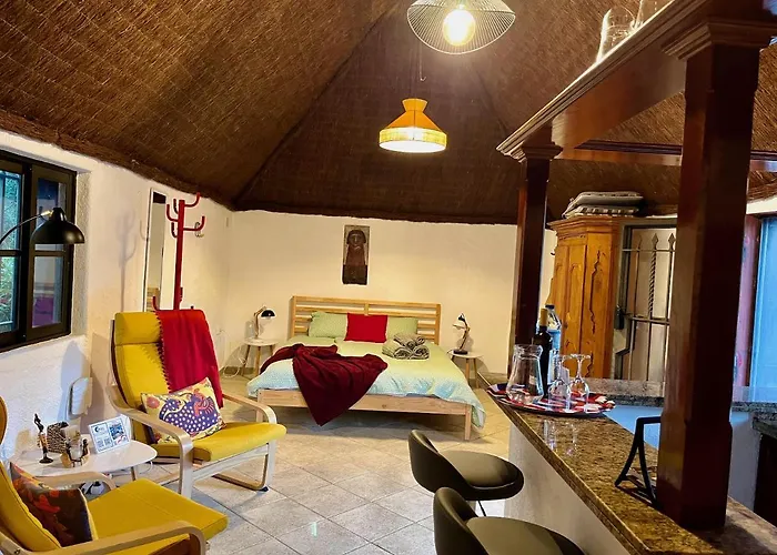 Pajar - Tabaiba By Tor * איקוד דה לוס וינוס