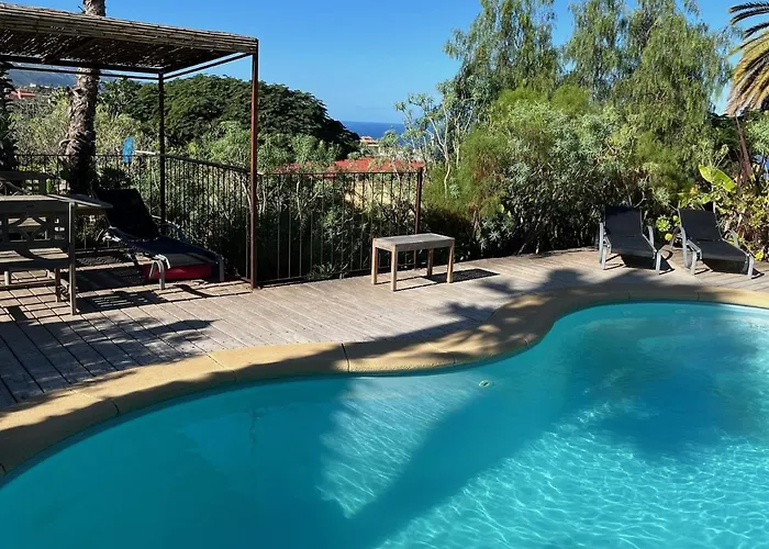 Pajar - Tabaiba By Tor