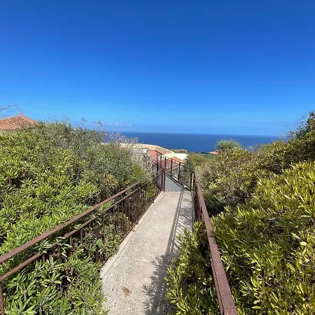 Pajar - Tabaiba By Tor *