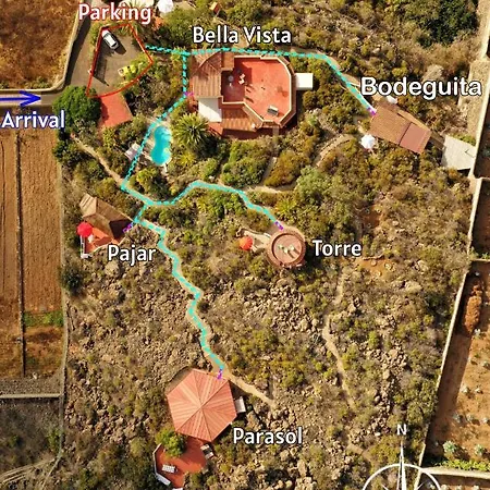 Pajar - Tabaiba By Tor