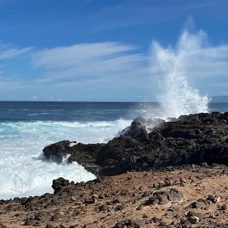 Pajar - Tabaiba By Tor Feriehus