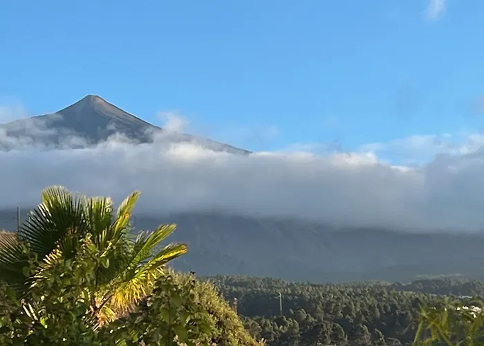 Pajar - Tabaiba By Tor *